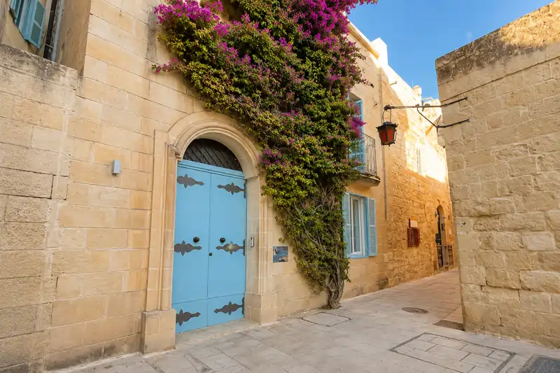 A quiet Mdina lane of honey-coloured limestone with a studded blue door and bougainvillea in flower above it.